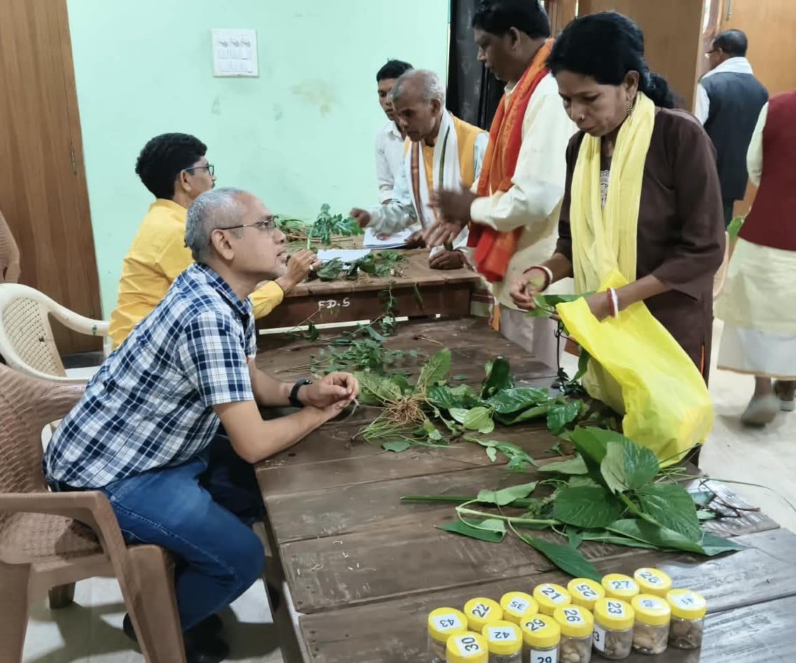 वैद्यों द्वारा औषधीय पौधों की पहचान का परीक्षण