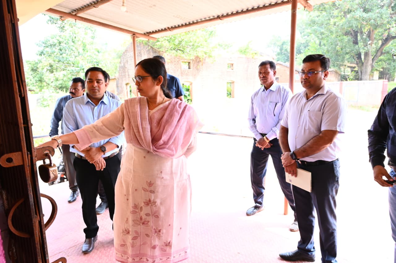 कलेक्टर के निरीक्षण की तस्वीर