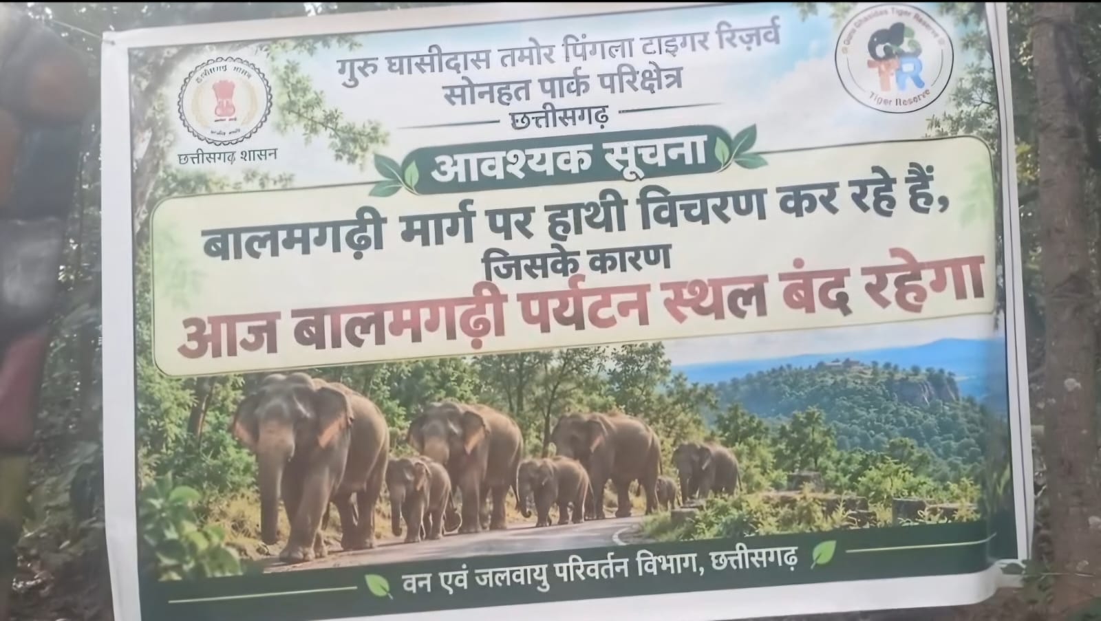 सोनहत क्षेत्र में जंगल के पास हाथियों की मौजूदगी और धान के खेत